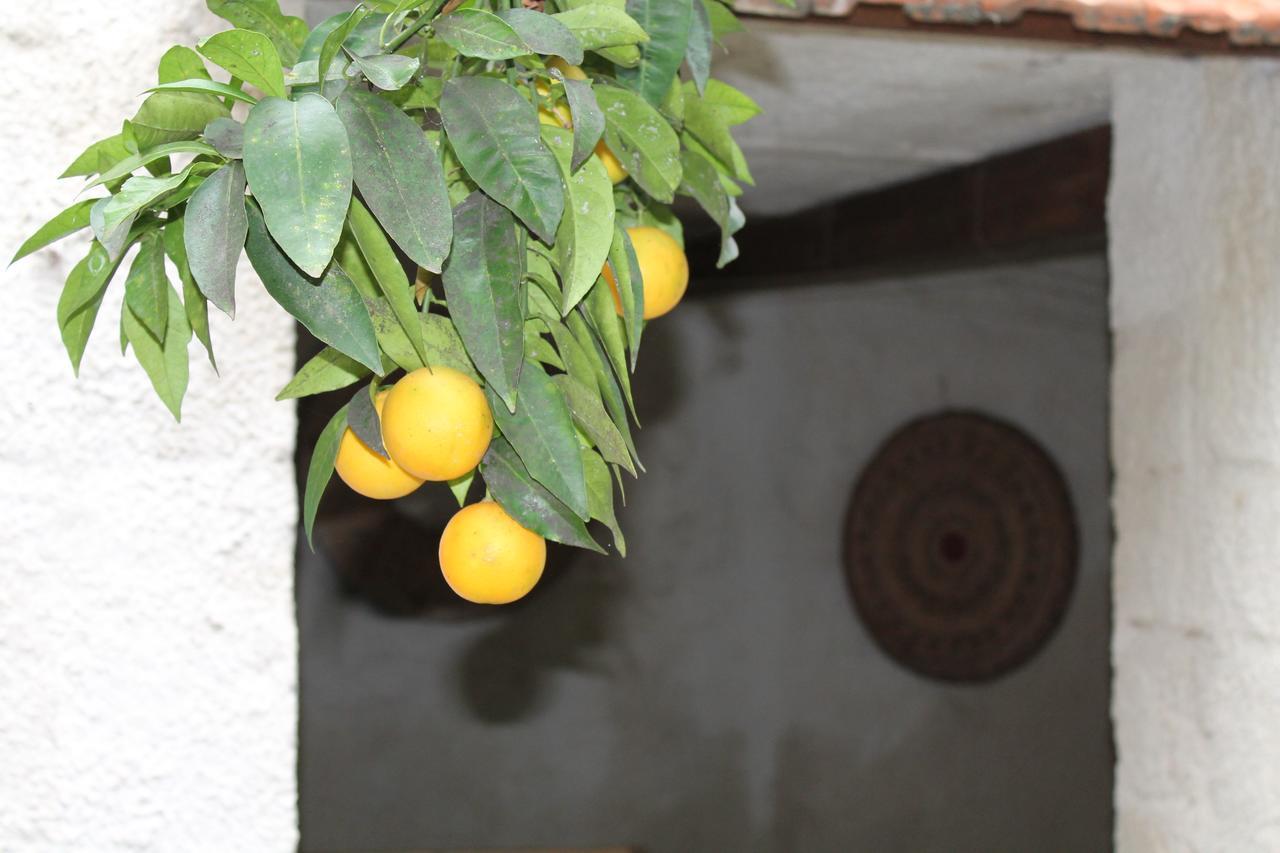 Ittiri B&B Danonna מראה חיצוני תמונה