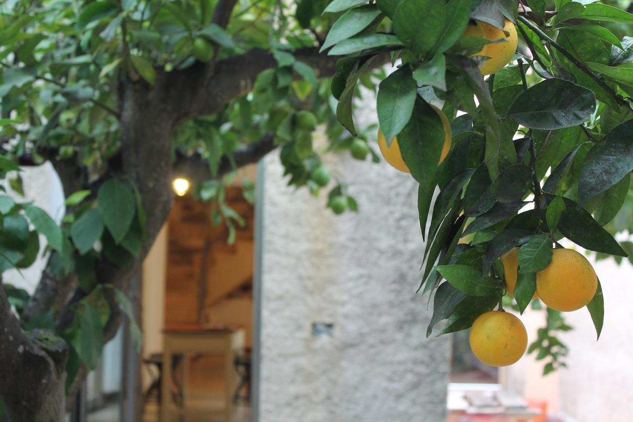 Ittiri B&B Danonna מראה חיצוני תמונה